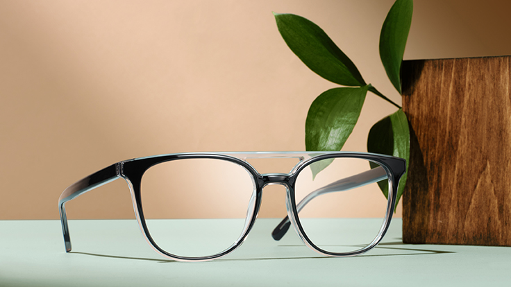 McAllister Frames on Model